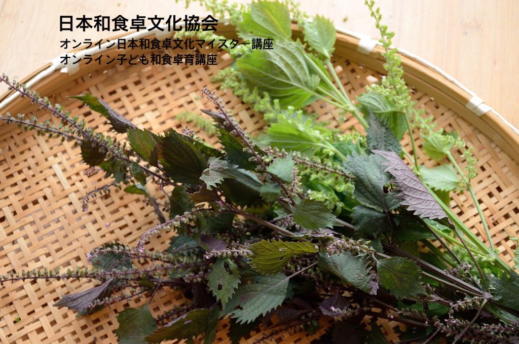 秋の実りが届きました 紫蘇の実 一般社団法人 日本和食卓文化協会